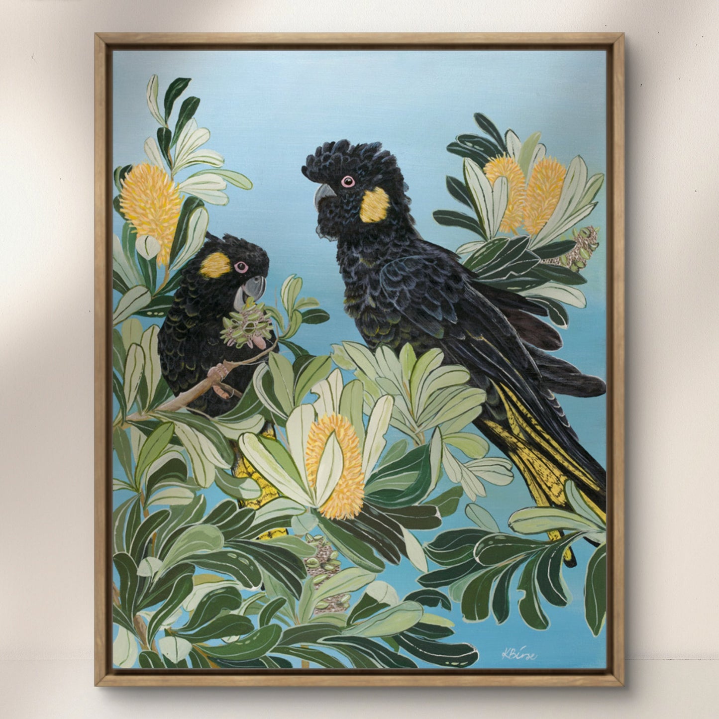 Yellow Tailed Black cockatoo - Print