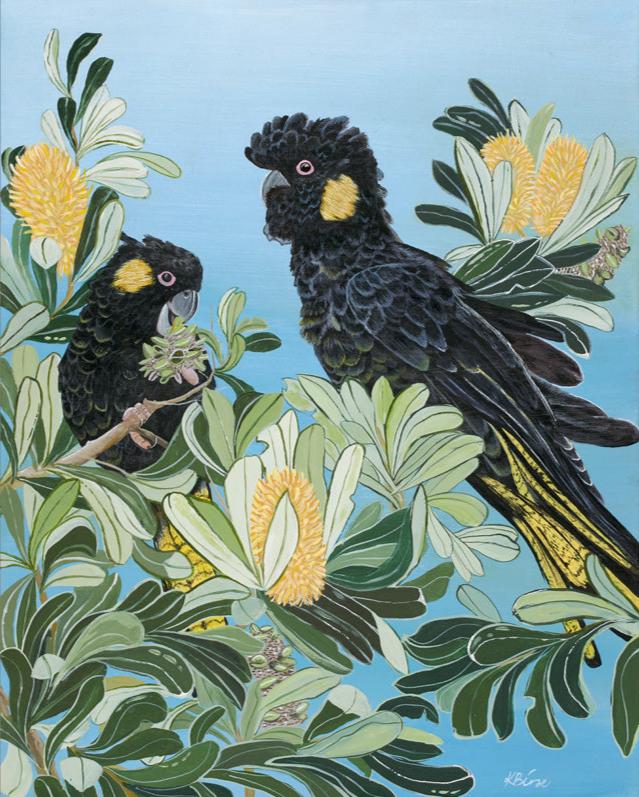 Yellow Tailed Black cockatoo - Print