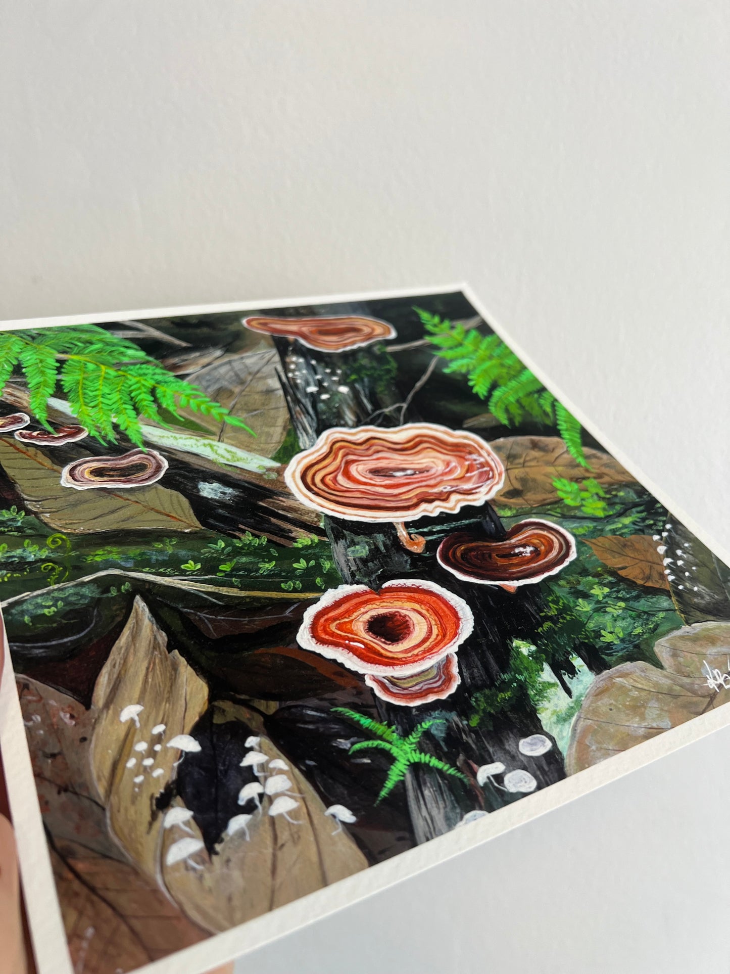 Turkey Tail Mushroom - Square Print