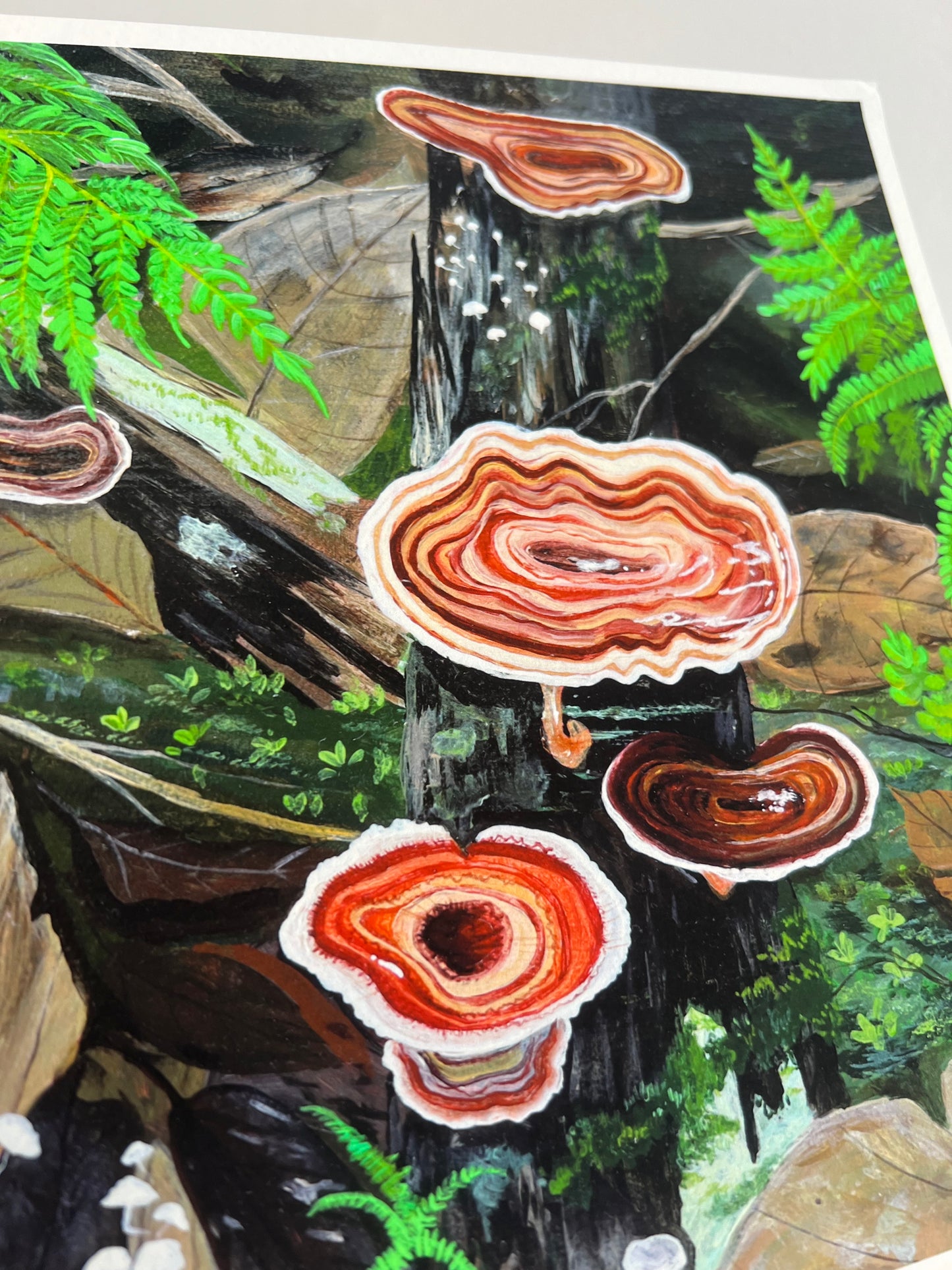 Turkey Tail Mushroom - Square Print