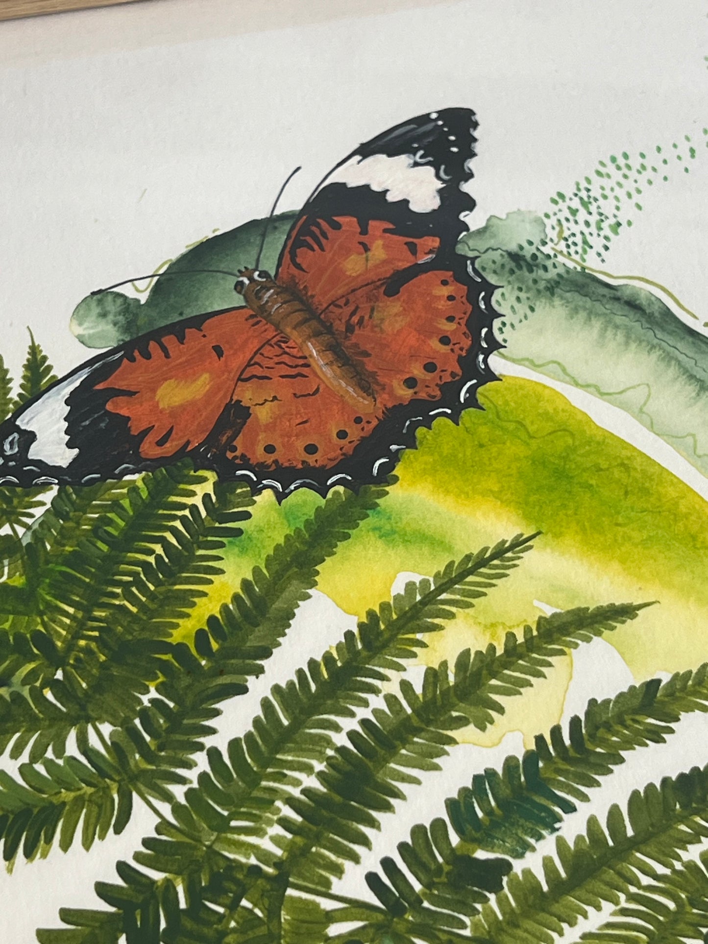 As they fly by - Cruiser Butterfly