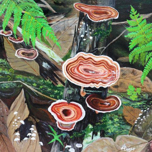 Turkey Tail Mushroom - Square Print