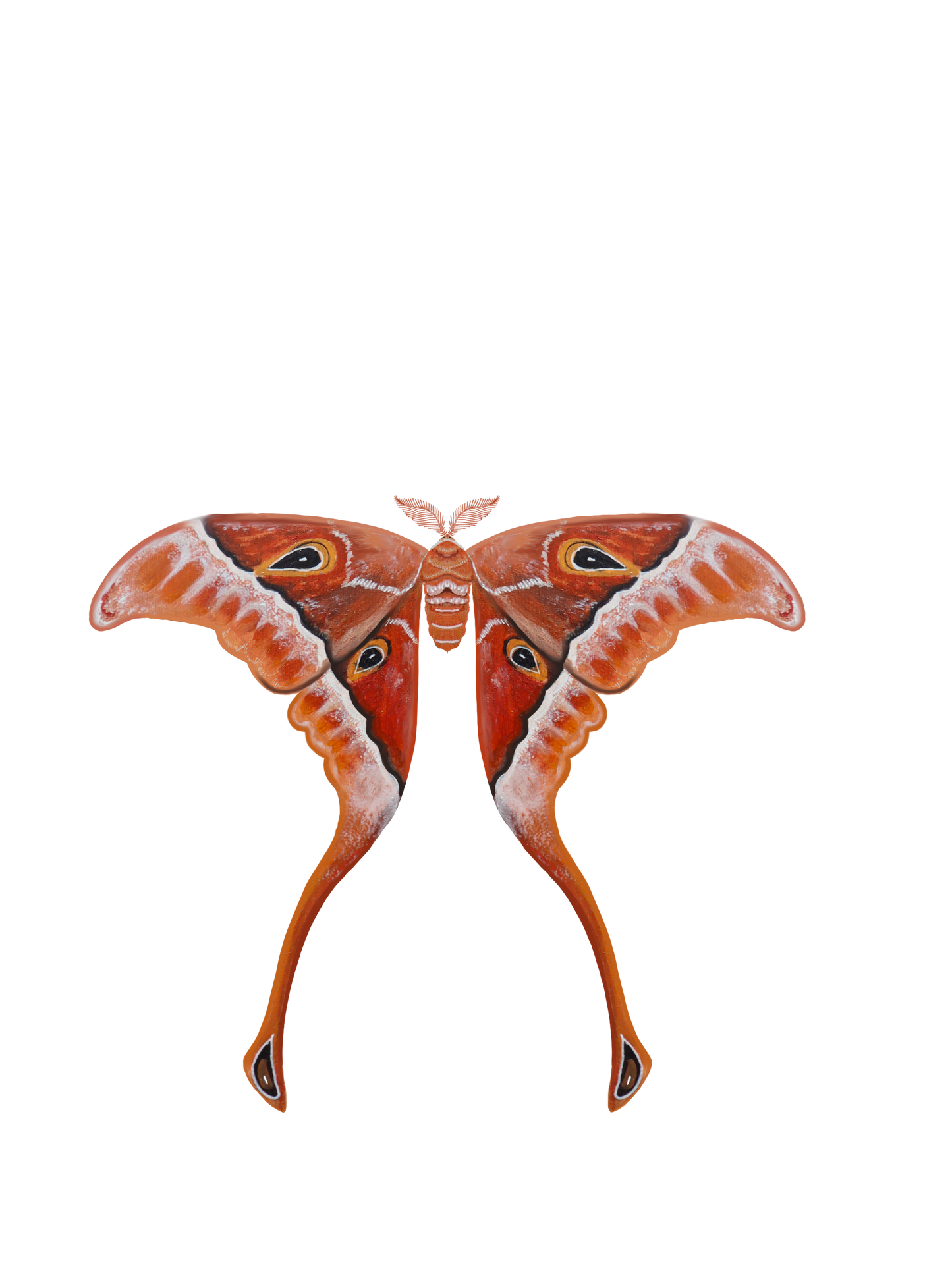 Hercules Moth Sticker