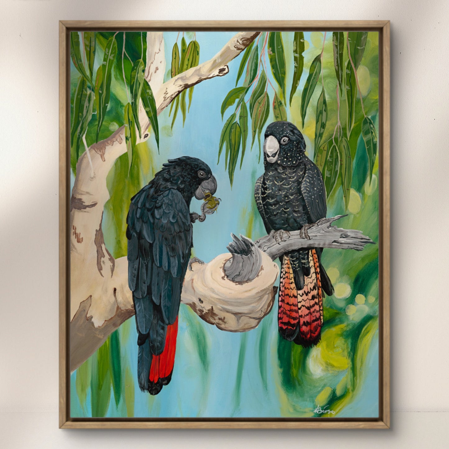 Red tailed Black cockatoo - Print