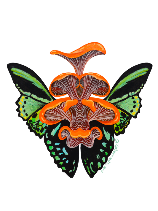 Birdwing Butterfly and Mushroom - Sticker