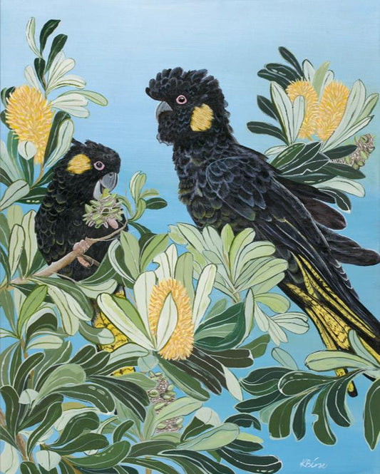 Yellow Tailed Black cockatoo - Print