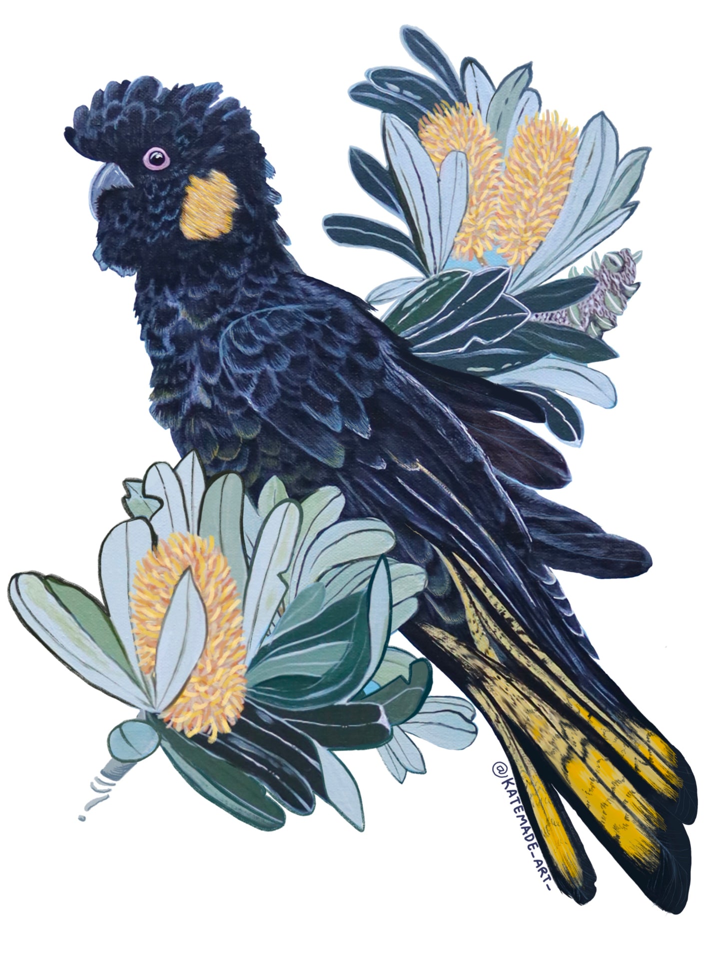 Yellow Tailed Black Cockatoo - Sticker