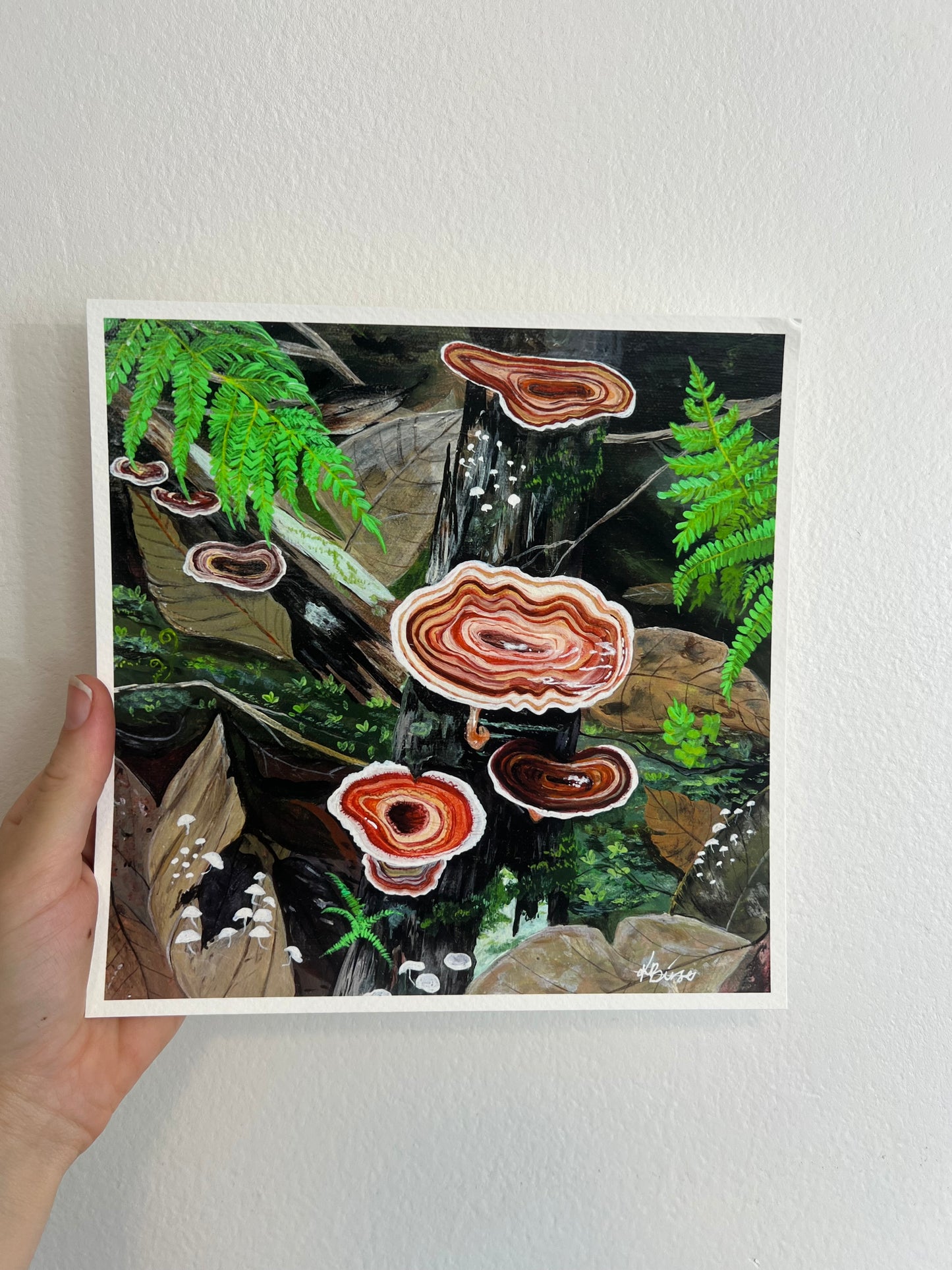 Turkey Tail Mushroom - Square Print