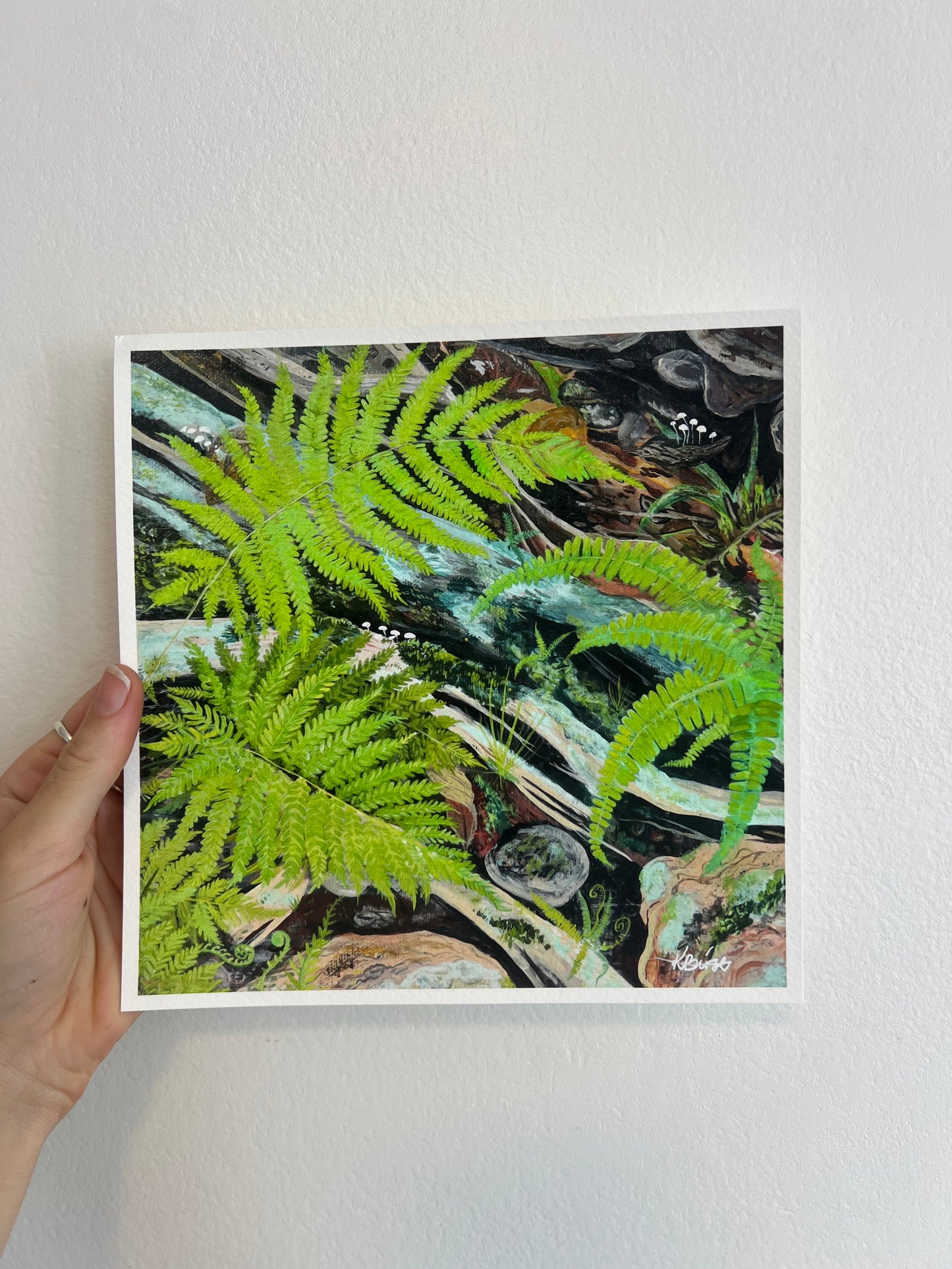 Forest floor ferns - Square Print