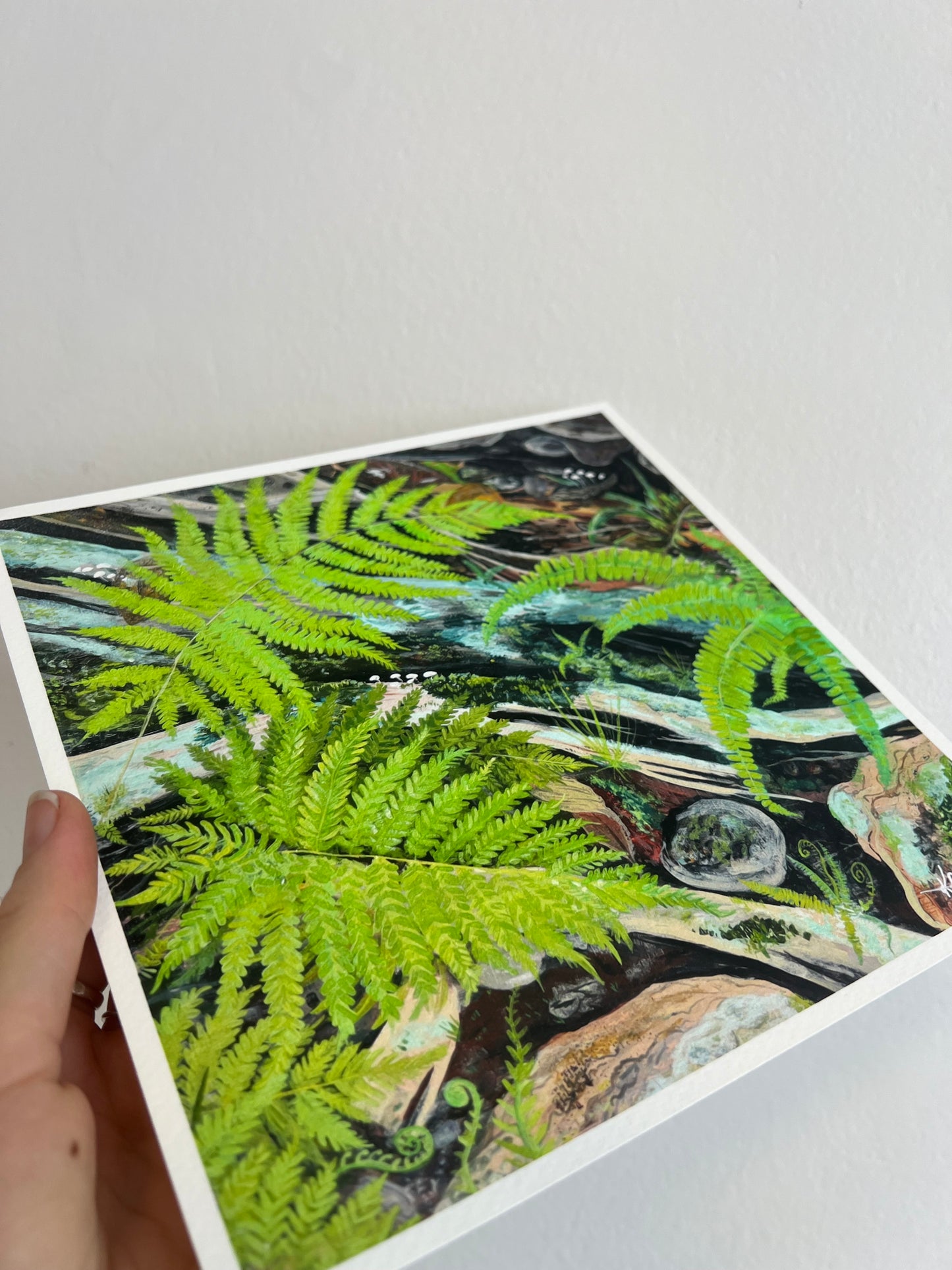Forest floor ferns - Square Print