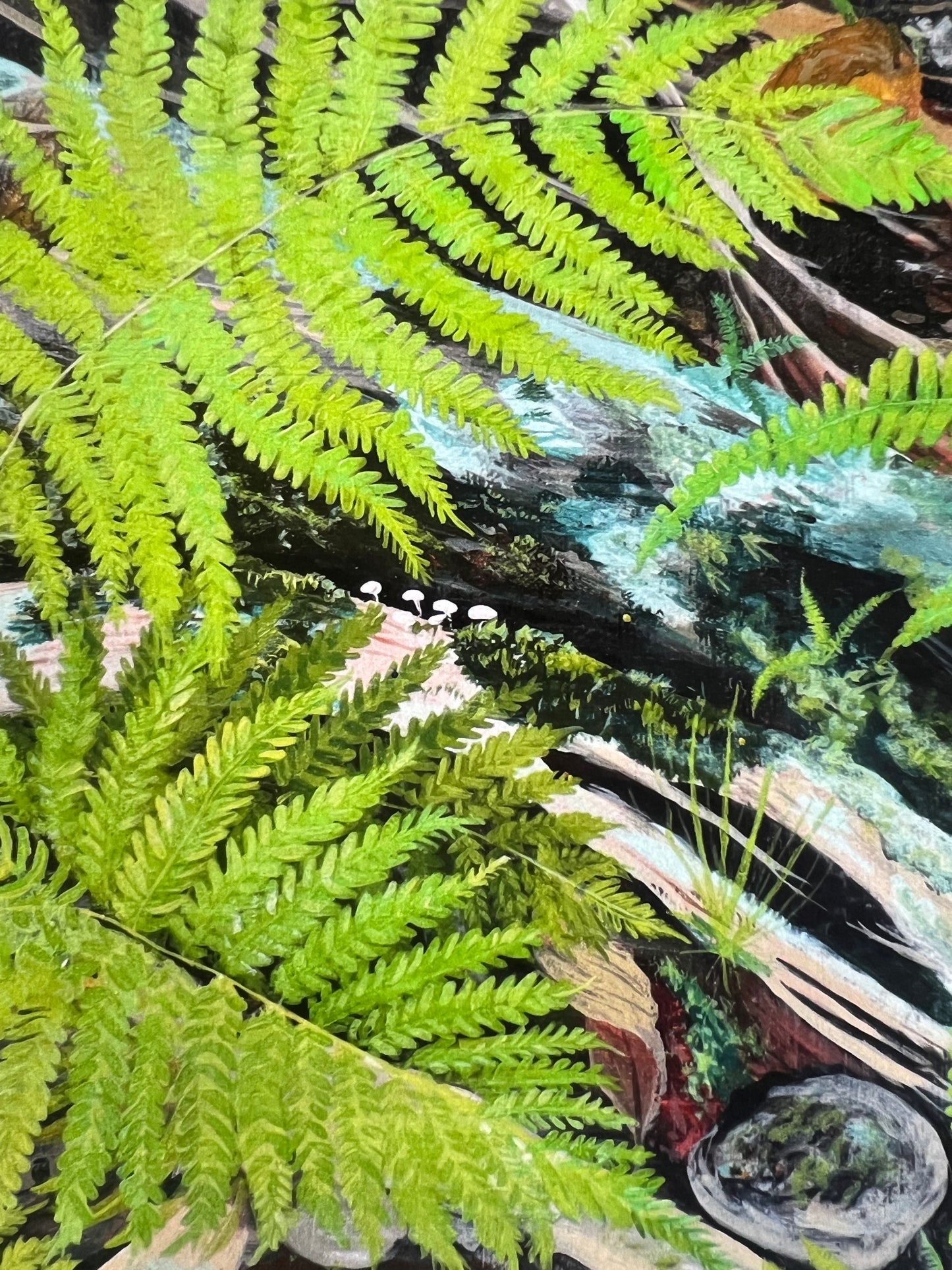 Forest floor ferns - Square Print