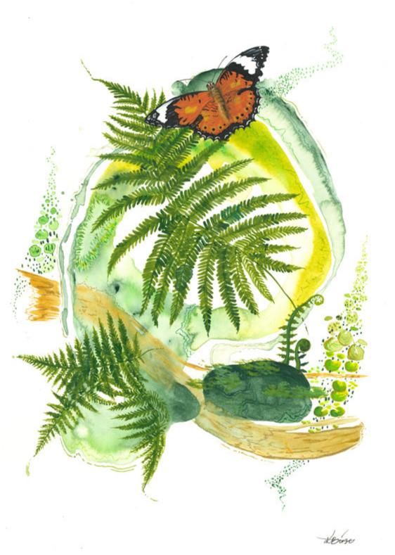 Lacewing Butterfly - Print