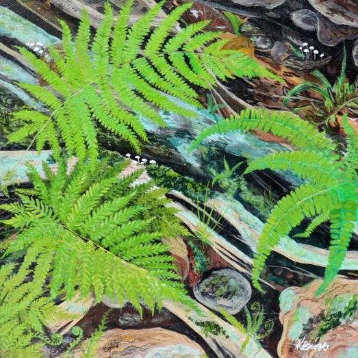 Forest floor ferns - Square Print