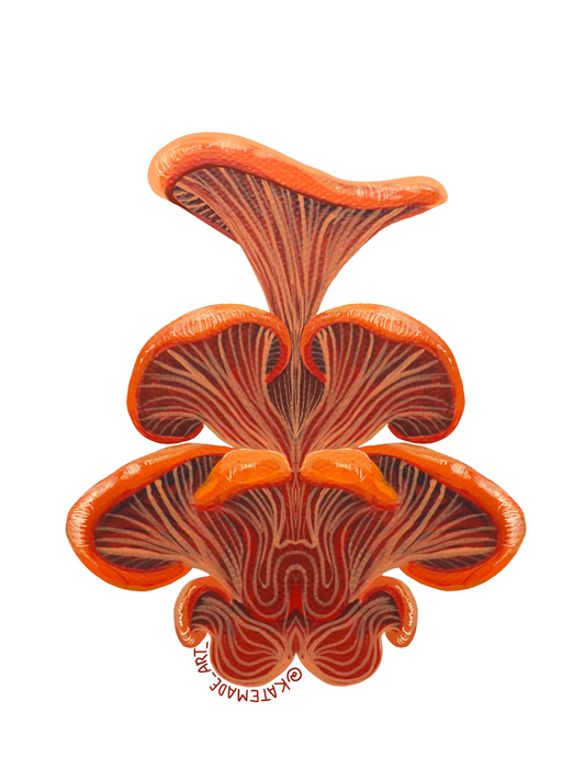 Mushroom - Sticker