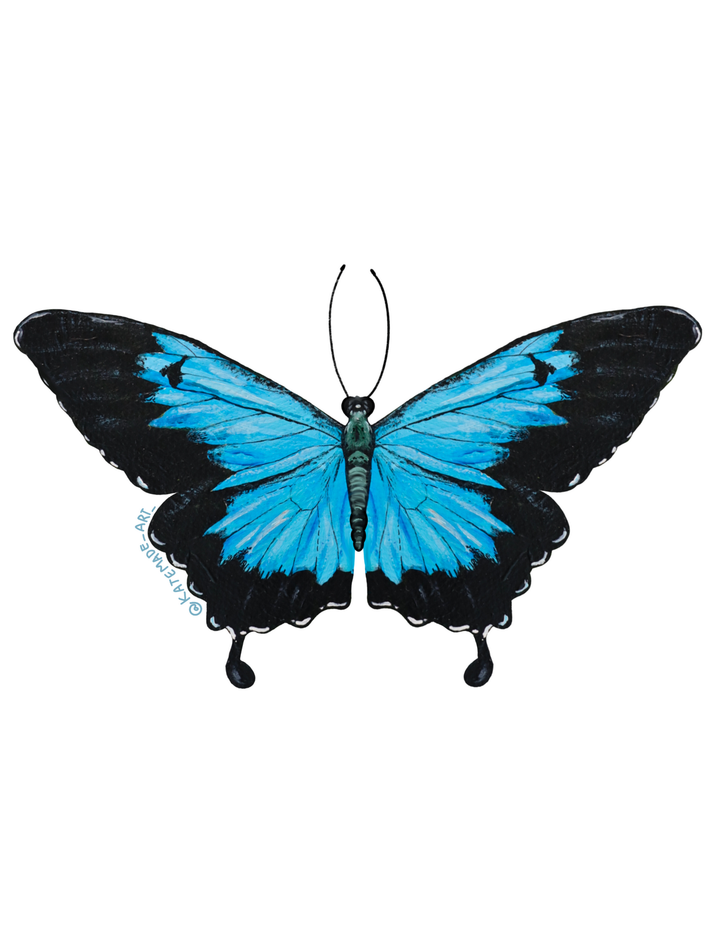 Ulysses Butterfly - Sticker